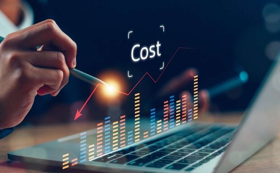 strategie per ottimizzare gestione aziendale - analisi costi- software su misura Emmet Solution.jpg